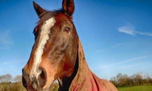 治疗性美容院产品-功效性美容院网 - 为你提供治疗性美容院产品、具有美容功效的物质有哪些