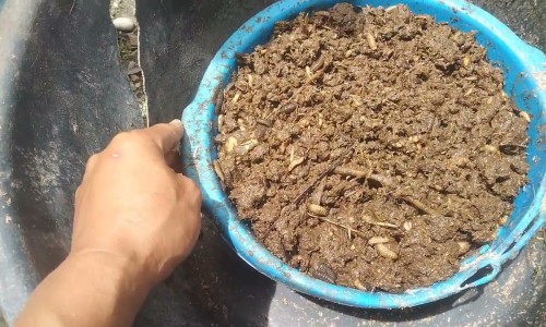美容功效型是-功效性美容院网 - 为你提供治疗性美容院产品、具有美容功效的物质有哪些